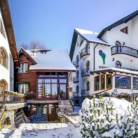 Pensiunea Crocus - Sauna & Billiard Poiana Brasov Εξωτερικό φωτογραφία
