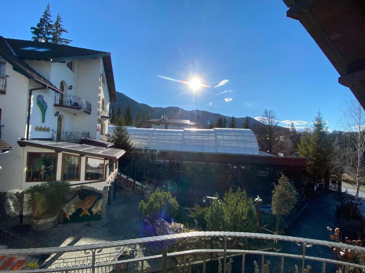 Pensiunea Crocus - Sauna & Billiard Poiana Brasov Εξωτερικό φωτογραφία