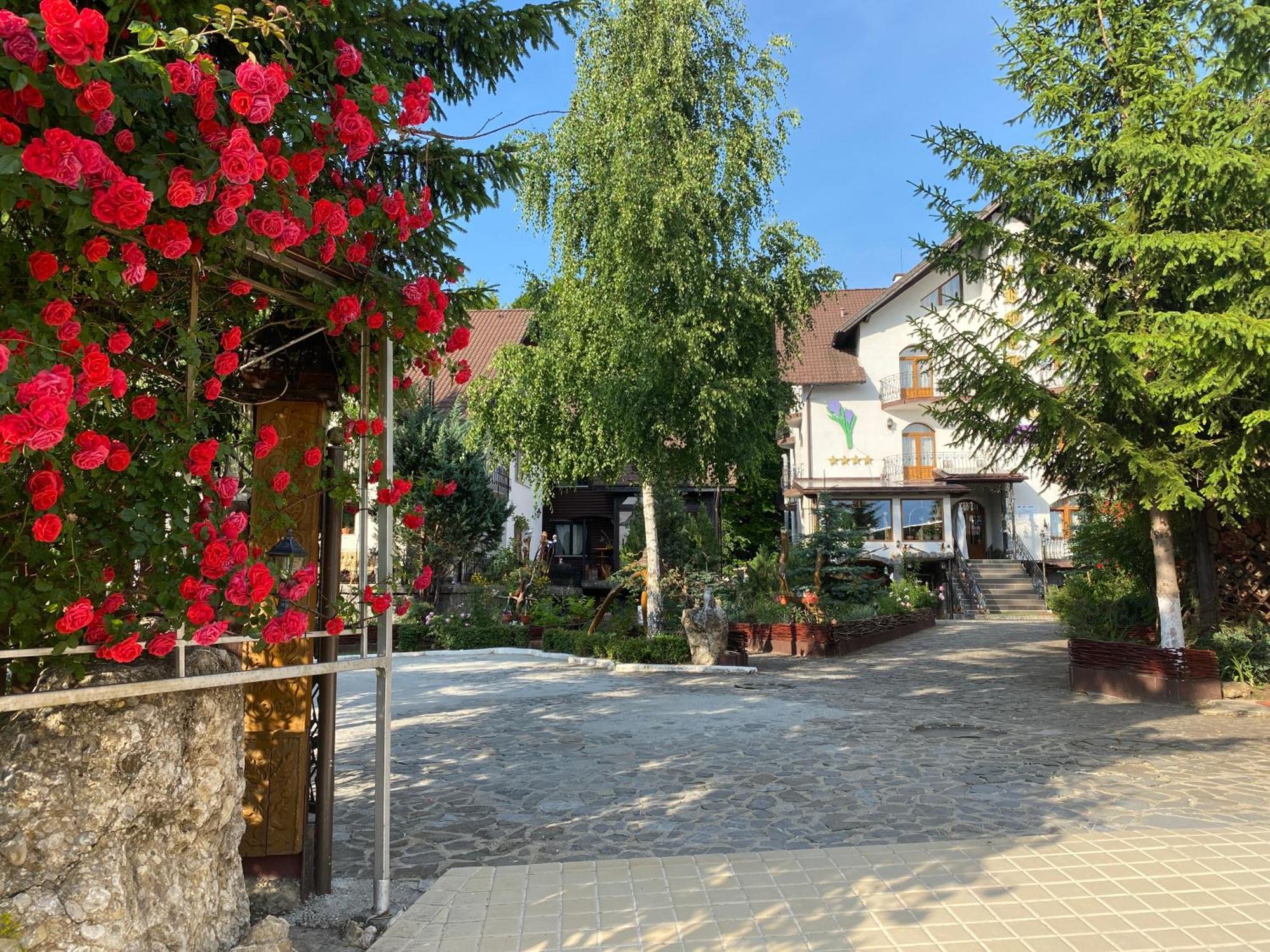 Pensiunea Crocus - Sauna & Billiard Poiana Brasov Εξωτερικό φωτογραφία