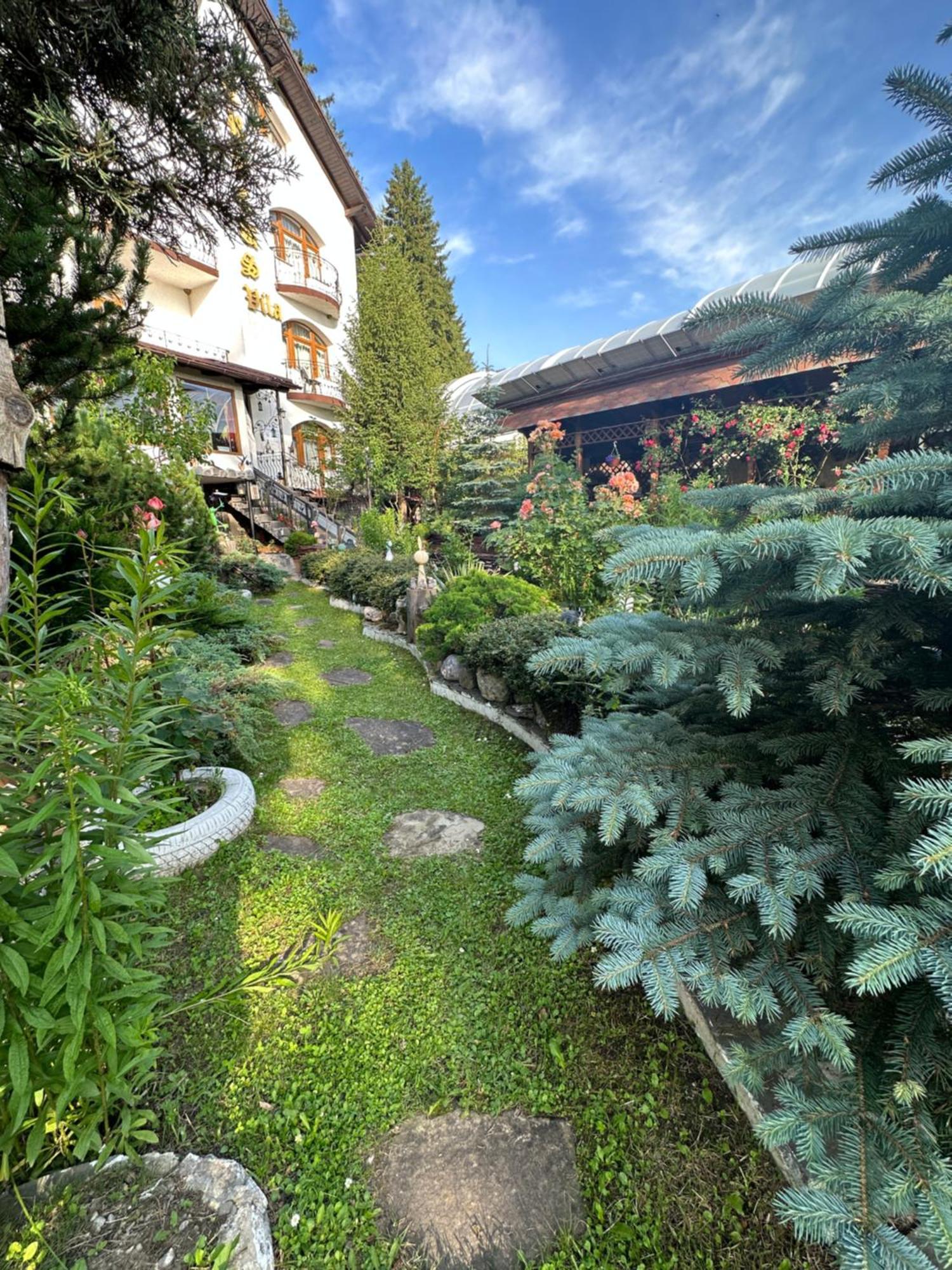 Pensiunea Crocus - Sauna & Billiard Poiana Brasov Εξωτερικό φωτογραφία