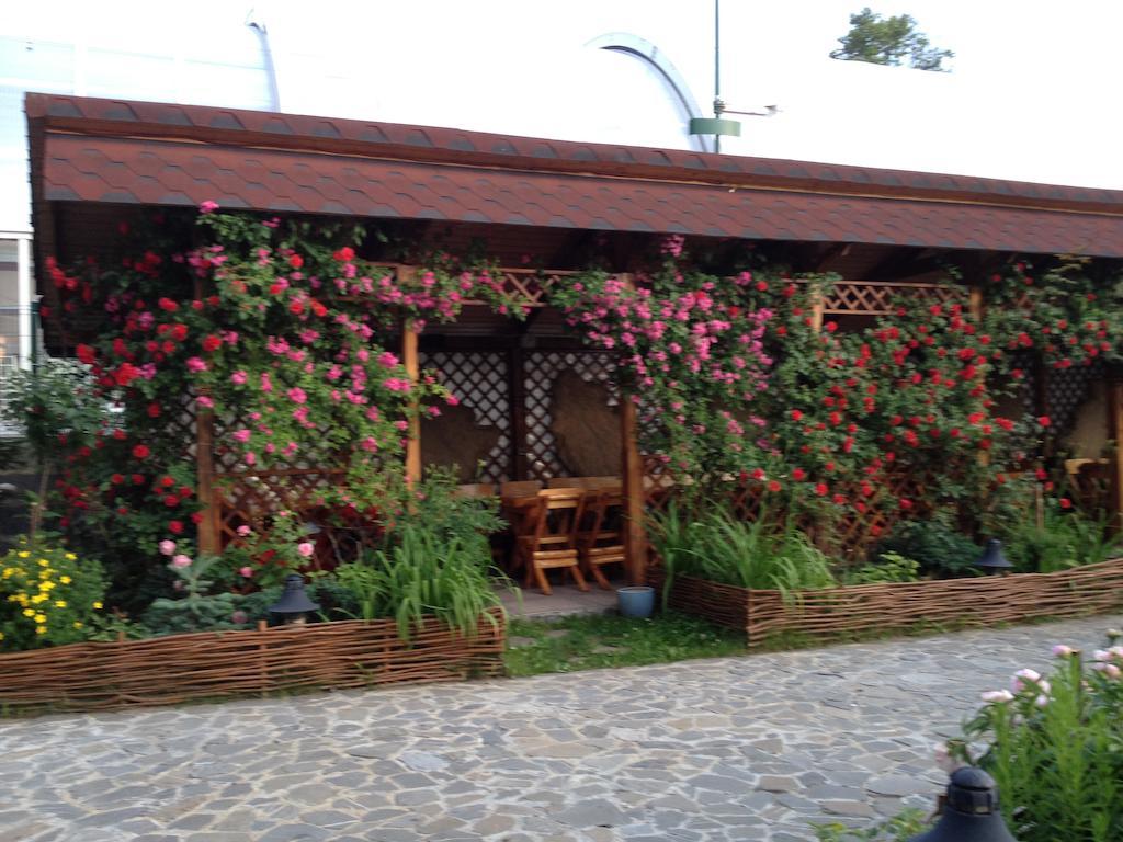 Pensiunea Crocus - Sauna & Billiard Poiana Brasov Εξωτερικό φωτογραφία