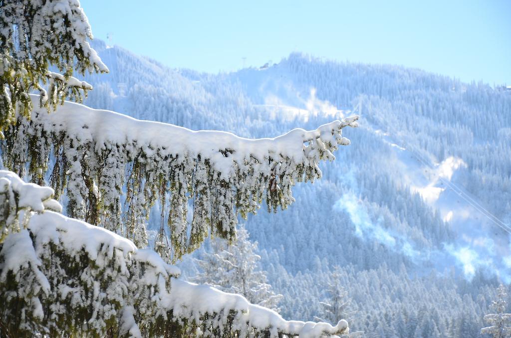 Pensiunea Crocus - Sauna & Billiard Poiana Brasov Εξωτερικό φωτογραφία